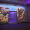 Проекционный дизайн "Виртуальная реальность" базовый комплект 500 анимаций - «globural.ru» - Курск