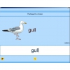 Английский язык. Освоение клавиатуры - «globural.ru» - Курск