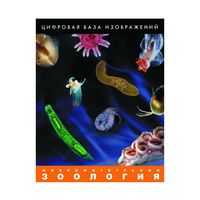 Зоология. Микрофотографии. (Цифровая база изображений) - «globural.ru» - Курск