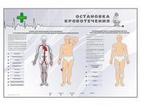 Электрифицированный стенд "Остановка кровотечения" - «globural.ru» - Курск