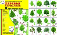 Демонстрационные карточки "Деревья и кустарники" - «globural.ru» - Курск