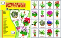 Демонстрационные карточки "Комнатные растения" - «globural.ru» - Курск
