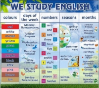 Стенд "We study english" - «globural.ru» - Курск