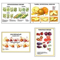Плакаты ПРОФТЕХ "Ассортимент овощных культур" (12 пл, винил, 70х100) - «globural.ru» - Курск