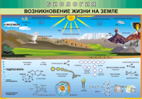 Таблица Возникновение жизни на Земле 1000*1400 винил - «globural.ru» - Курск