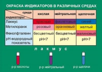 Таблица Окраска индикаторов в различных средах (винил) - «globural.ru» - Курск