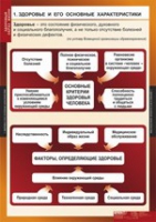 ОБЖ Здоровый образ жизни (комплект таблиц) - «globural.ru» - Курск