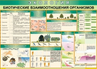 Таблица Биотические взаимоотношения организмов 1000*700 (винил) - «globural.ru» - Курск