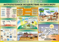 Таблица Антропогенное воздействие на биосферу 1000*700 винил - «globural.ru» - Курск