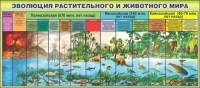 Стенд "Эволюция растительного и животного мира" - «globural.ru» - Курск