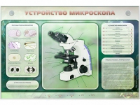 Электрифицированный стенд "Устройство микроскопа и правила работы c ним" - «globural.ru» - Курск