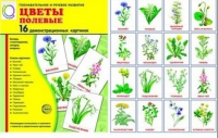 Демонстрационные карточки "Цветы полевые" - «globural.ru» - Курск
