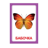 Логопедка "Ч" (логопедические карточки) - «globural.ru» - Курск