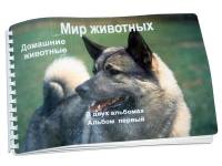 Пособие для слабовидящих "Домашние животные" - «globural.ru» - Курск