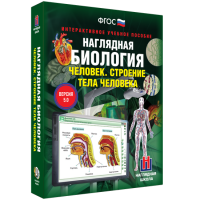 Наглядная биология. Человек. Строение тела человека - «globural.ru» - Курск