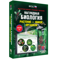 Наглядная биология. Растение - живой организм - «globural.ru» - Курск