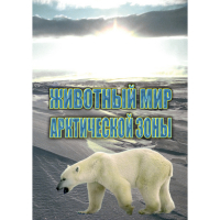 DVD Животный мир Арктической зоны - «globural.ru» - Курск