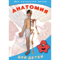 DVD  Анатомия для детей - «globural.ru» - Курск
