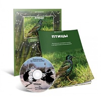 Электронное наглядное пособие «Птицы» - «globural.ru» - Курск
