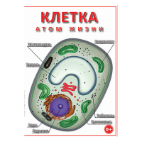 DVD Клетка - "атом жизни" - «globural.ru» - Курск