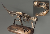 Модель скелета динозавра Tyrannosaurus - «globural.ru» - Курск