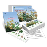 Комбинированное наглядное пособие «Растения» - «globural.ru» - Курск