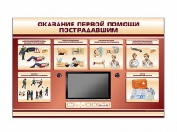 Многофункциональный интерактивный стенд-тренажер "Оказание первой помощи пострадавшим" для учащихся общеобразовательных учреждений - «globural.ru» - Курск