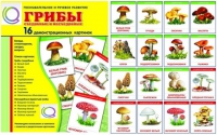 Демонстрационные карточки  "Грибы съедобные и не съедобные" - «globural.ru» - Курск