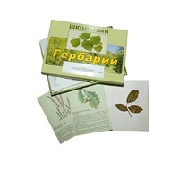 Гербарий "Дикорастущие растения" (30 видов, с иллюстрациями) - «globural.ru» - Курск