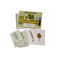 Гербарий "Лекарственные растения" (22 вида, с иллюстрациями) - «globural.ru» - Курск