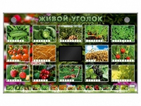 Комплект оборудования "Живой уголок" (растения) - «globural.ru» - Курск