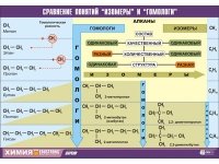 Таблица демонстрационная "Сравнение понятий изомер и гомолог" (винил 100х140) - «globural.ru» - Курск