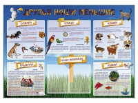 Стенд-уголок "Друзья наши меньшие" - «globural.ru» - Курск