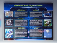 Стенд "Физическая подготовка" (вариант 2) - «globural.ru» - Курск