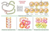 Плакаты и таблицы по общей химии - «globural.ru» - Курск