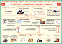  Таблица Общий порядок оказания первой помощи пострадавшим 1000*1400 винил	 - «globural.ru» - Курск