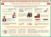 Таблица Порядок действий при переломах конечностей 1000*1400 винил - «globural.ru» - Курск