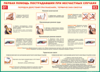 Таблица Порядок действий при ранениях и термических ожогах	 1000*1400 винил - «globural.ru» - Курск