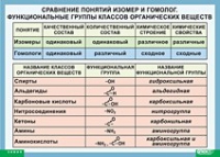 Химия. Сравнение понятий изомер и гомолог. Функциональные группы классов органических веществ (винил) - «globural.ru» - Курск