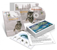 Комбинированное наглядное пособие «Животные» - «globural.ru» - Курск