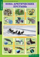 Окружающий мир 4 класс (комплект таблиц) - «globural.ru» - Курск