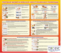Стенд "Первая доврачебная неотложная помощь" - «globural.ru» - Курск