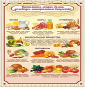 Стенд "Витамины, жиры, белки" - «globural.ru» - Курск