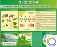 Стенд "Экология. Организация и функционирование сообществ" - «globural.ru» - Курск