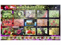 Комплект оборудования "Живой уголок" (растения) с тифлопереводом и сурдокомментариями - «globural.ru» - Курск