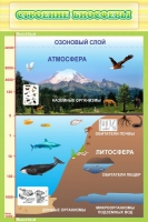 Стенд "Строение биосферы" - «globural.ru» - Курск