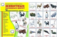 Демонстрационные карточки "Животные холодных широт" - «globural.ru» - Курск