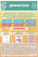 Стенд "Диффузия" - «globural.ru» - Курск