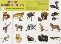 Раздаточные карточки "Дикие животные" часть 2 - «globural.ru» - Курск