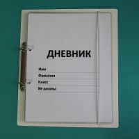 Дневник школьника (с полным набором карточек) - «globural.ru» - Курск